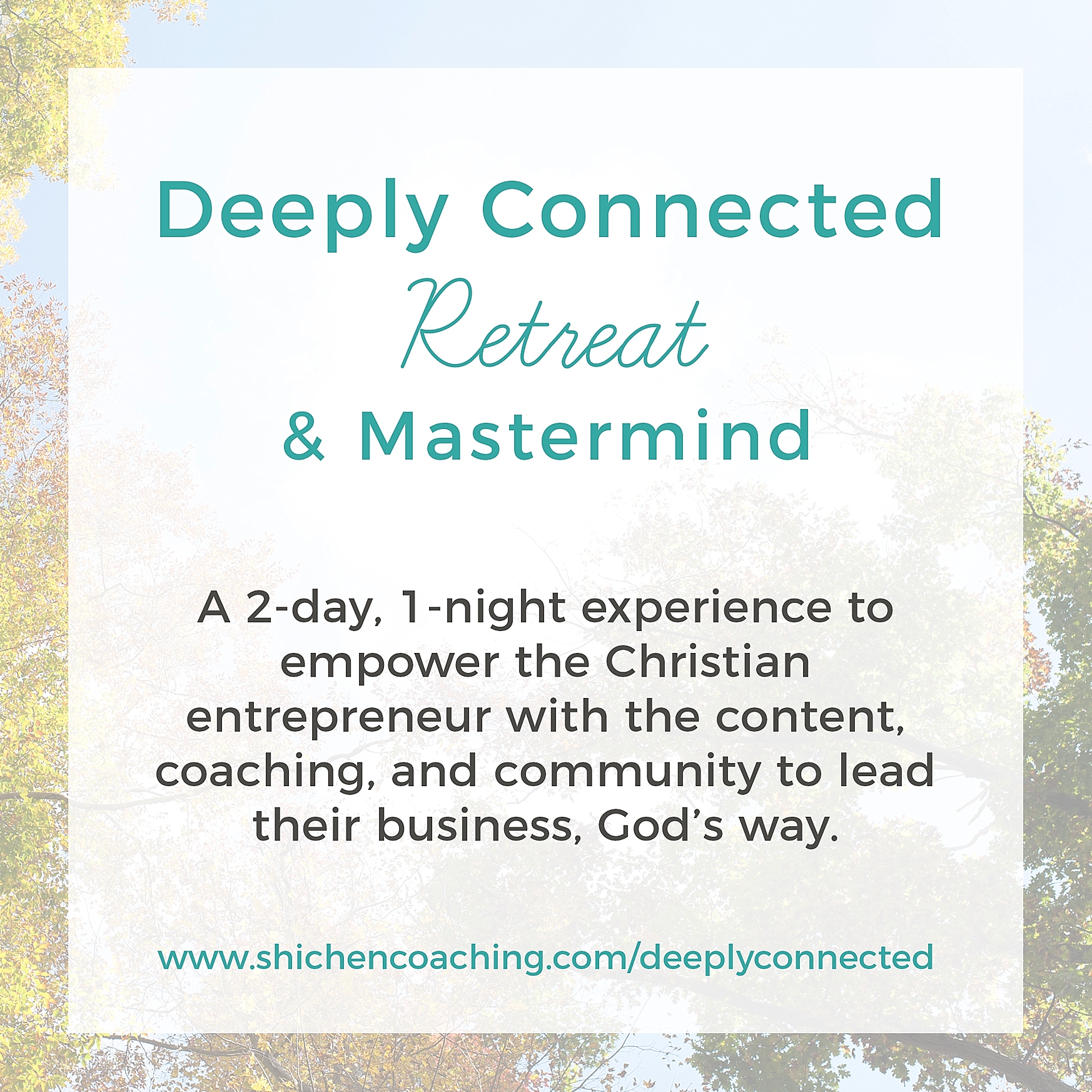 business vision into action_guest post_Shi chen coaching_0004.jpg